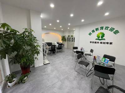 深耕教育咨詢，點亮成長之路——河南樹青教育咨詢服務解析